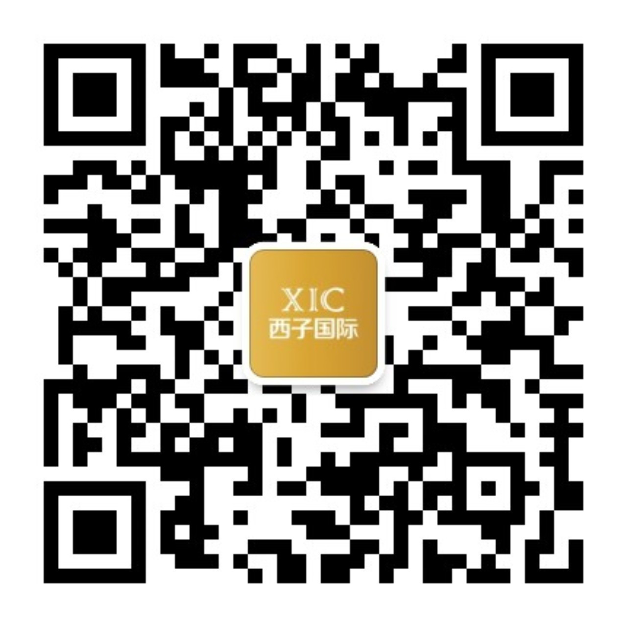 WeChat Official Accounts